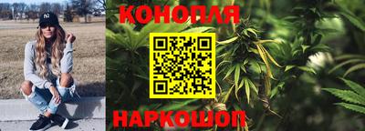 стафф Заволжье