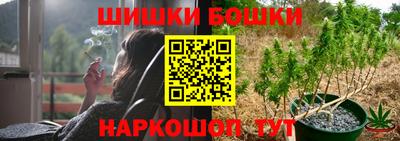 мдпв Жуковский