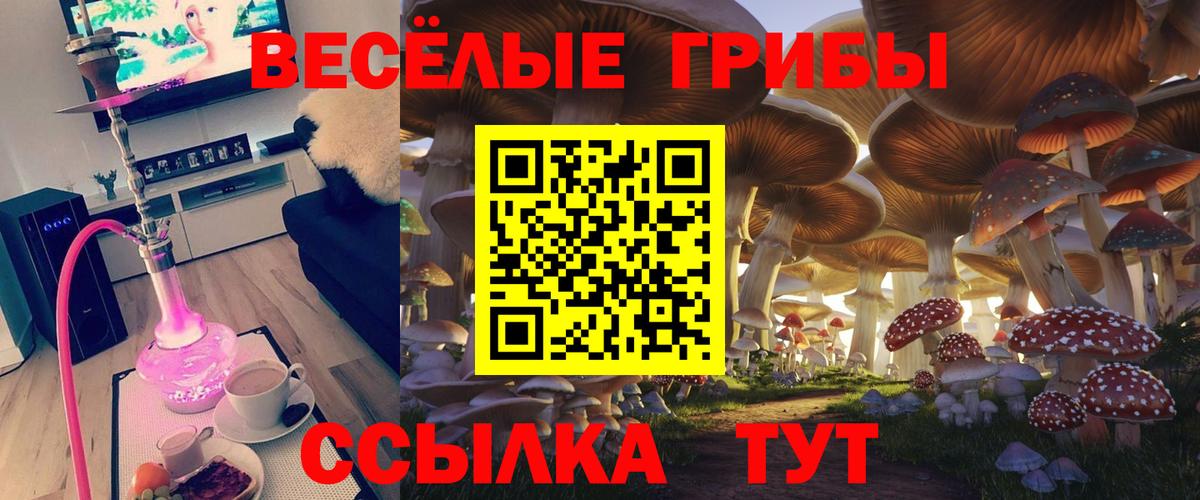 Галлюциногенные грибы мухоморы  Вход с VPN  что такое наркотик  Чита  Псилоцибиновые грибы мицелий 