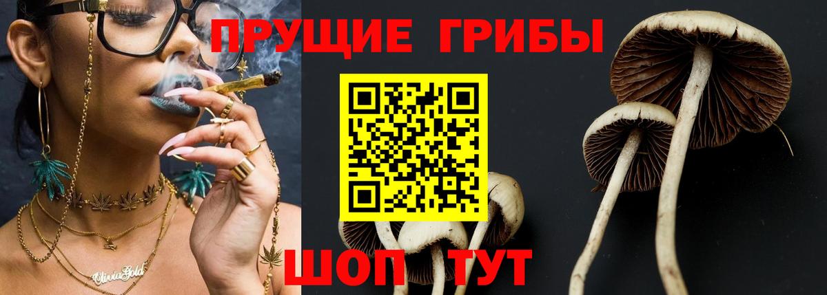 Галлюциногенные грибы GOLDEN TEACHER Чита